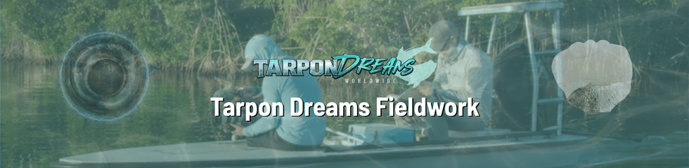 Tarpon Dreams Fieldwork Banner Tarpon Dreams Fieldwork Banner