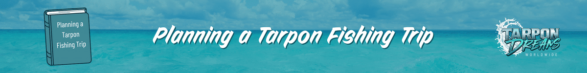 Tarpon Dreams - Plan a Tarpon Fishing Trip in 7 Simple Steps Journal Post Banner Tarpon Dreams - Plan a Tarpon Fishing Trip in 7 Simple Steps Journal Post Banner