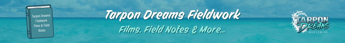 Tarpon Dreams - Tarpon Dreams Fieldwork - Journal Post Banner Tarpon Dreams - Tarpon Dreams Fieldwork - Journal Post Banner