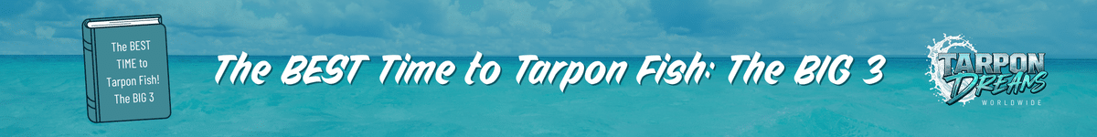 Tarpon Dreams - The Best Time for Fishing for Tarpon - The BIG 3 Journal Post Banner Tarpon Dreams - The Best Time for Fishing for Tarpon - The BIG 3 Journal Post Banner