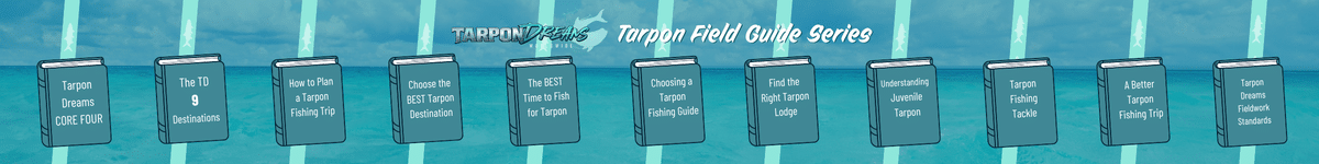 Tarpon Fishing Guide - The Tarpon Dreams Field Guide Banner Tarpon Fishing Guide - The Tarpon Dreams Field Guide Banner