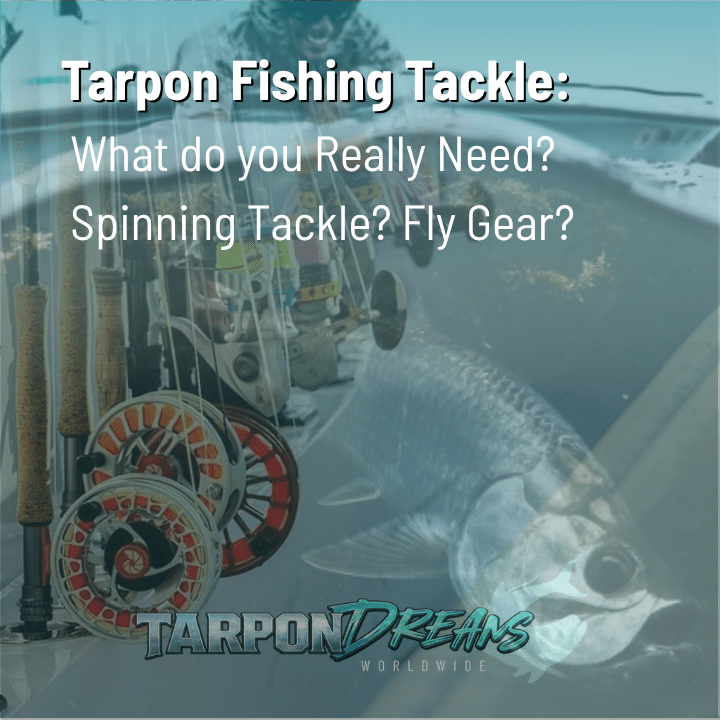 Tarpon fishing tackle including rods, reels and terminal gear