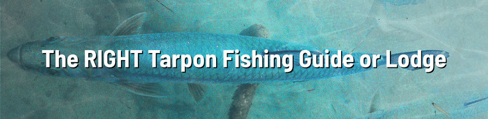 Tarpon Fishing Trip 1 - The Right Guide or Lodge Journal Article 10 by Tarpon Dreams Tarpon Fishing Trip 1 - The Right Guide or Lodge Journal Article 10 by Tarpon Dreams