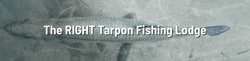 Tarpon Fishing Trip 2 - TARPON LODGE Journal Article 10 by Tarpon Dreams v2 Tarpon Fishing Trip 2 - TARPON LODGE Journal Article 10 by Tarpon Dreams v2