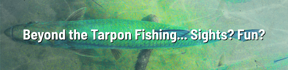 Tarpon Fishing Trip 3 - Beyond the Fishing Journal Article 10 by Tarpon Dreams v2 Tarpon Fishing Trip 3 - Beyond the Fishing Journal Article 10 by Tarpon Dreams v2