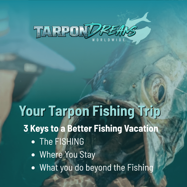 Tarpon Fishing Trip 3 Essential Keys to a Better Fishing Vacation Tarpon Fishing Trip 3 Essential Keys to a Better Fishing Vacation
