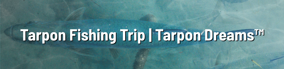 Tarpon Fishing Trip - Journal Article 10 by Tarpon Dreams Tarpon Fishing Trip - Journal Article 10 by Tarpon Dreams