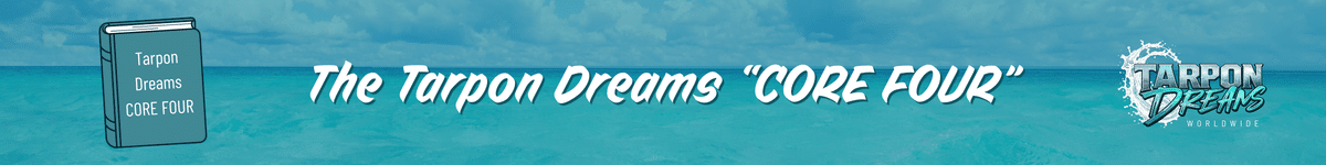 The Tarpon Dreams - CORE FOUR Journal Post Banner What is Tarpon Dreams? The Tarpon Dreams - CORE FOUR Journal Post Banner