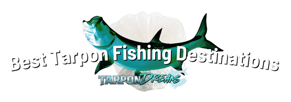 Best Tarpon Fishing Destinations by Tarpon Dreams™