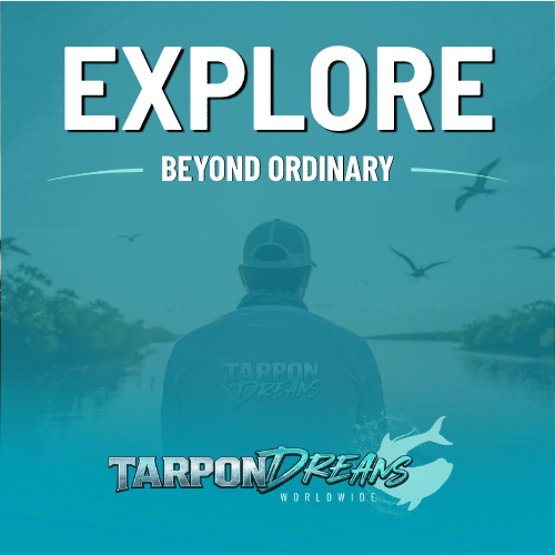 EXPLORE - TARPON DREAMS™ 3 OF CORE FOUR