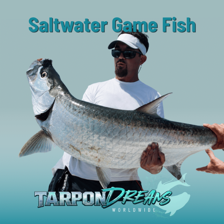Saltwater Game Fish Tarpon Dreams™ ALT IMG